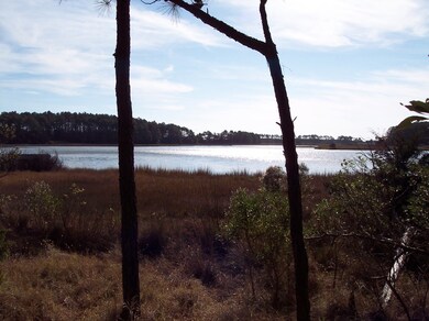 Lot #15 Metompkin Rd unit 15, Parksley, VA 23421 - photo 3