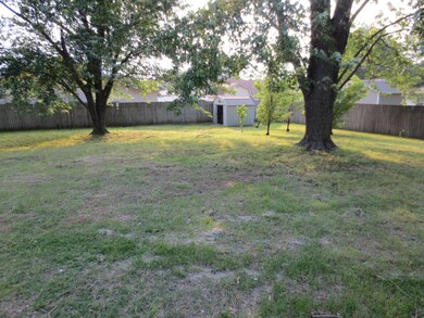 Beautiful Backyard