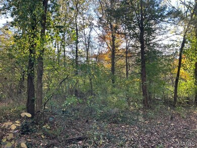 410 Oak Dr, Gray Summit, MO 63039 - photo 5