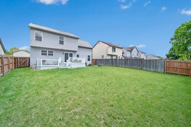 61-web-or-mls-DSC00848