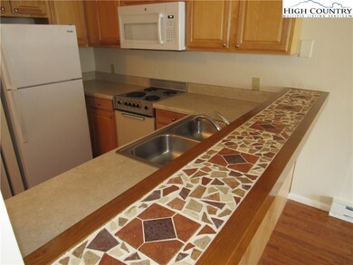 128 Zeb St unit 208, Boone, NC 28607 - photo 6