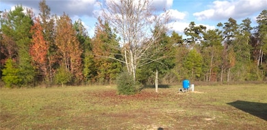 10211 Sonny Wall Rd, Kentwood, LA 70444 - photo 6