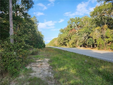 0 Dauphin Island Pkwy unit 7684967, Coden, AL 36523 - photo 6