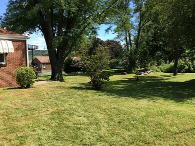 Yard/Garden.