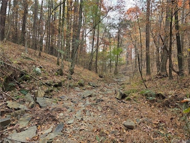 000 Cedar Branch Rd, Hattieville, AR 72063 - photo 6