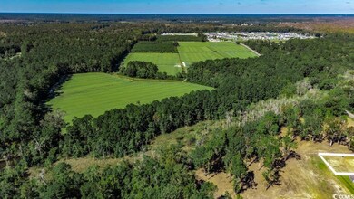 8.06 Acs Old Bucksville Rd, Conway, SC 29527 - photo 4