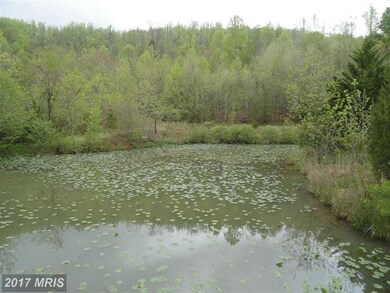 977 Entry Run Rd, Stanardsville, VA 22973 - photo 3