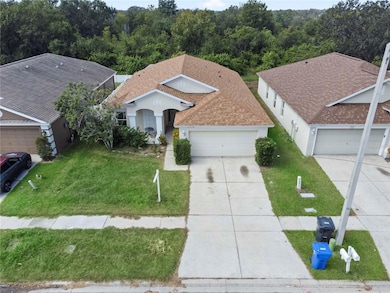 12922 Early Run Ln, Riverview, FL 33578 - photo 4