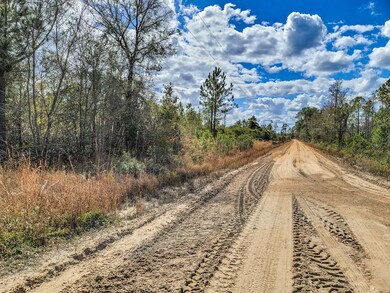 Old Hortense Rd (South)