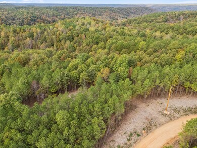 0 Old Mail Rd unit RTC2797249, Duck River, TN 38454 - photo 6