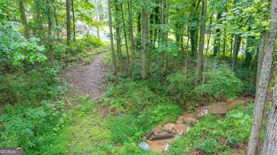 185 Grand Jct, Sharpsburg, GA 30277 - photo 3