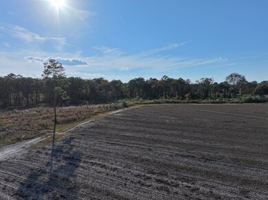 963 Vinson Rd, Meigs, GA 31765 - photo 2