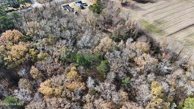 dji_fly_20241213_122606_0260_17341110280