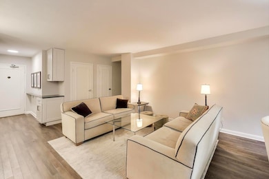 1350 N Astor St unit 4C, Chicago, IL 60610 - photo 7