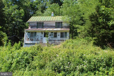 1269 Dickenson Mountain Rd, Franklin, WV 26807 - photo 6