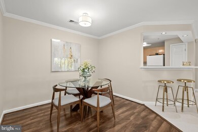 13100 Millhaven Place unit F, Germantown, MD 20874 - photo 7