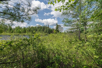Off U S 45 unit 2, Three Lakes, WI 54562 - photo 3