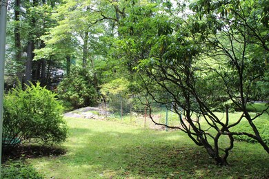 Front Side yard