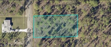 1306 Michael Ave, Lehigh Acres, FL 33972 - photo 2