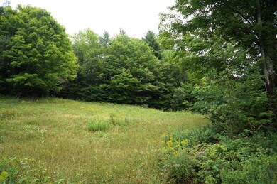 0 Rhoades Rd unit 11C 4872883, Alstead, NH 03602 - photo 3