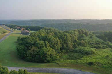 DJI_0011
