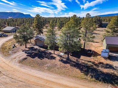 207 Domicile Cir, Pagosa Springs, CO 81147 - photo 6