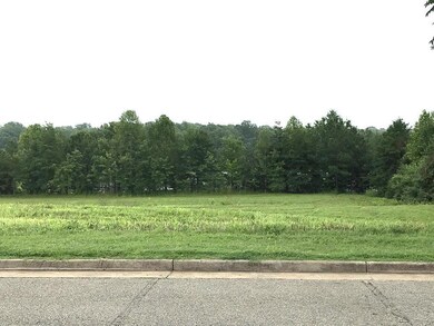 0 Buckingham Centre Dr unit 3 & 4, Dillwyn, VA 23936 - photo 7