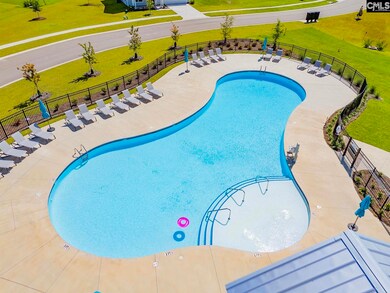 1131 Bolting Rd, Lexington, SC 29072 - photo 6