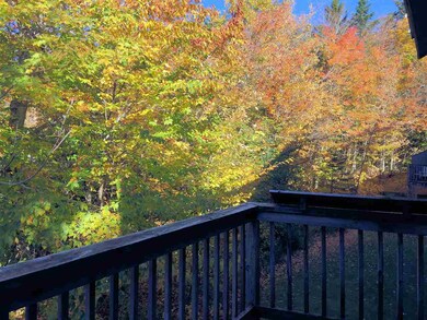 53 Birches Way unit BA2, Peru, VT 05152 - photo 7