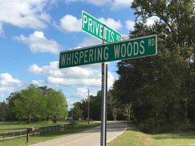 5620 Privetts Rd, Conway, SC 29526 - photo 2