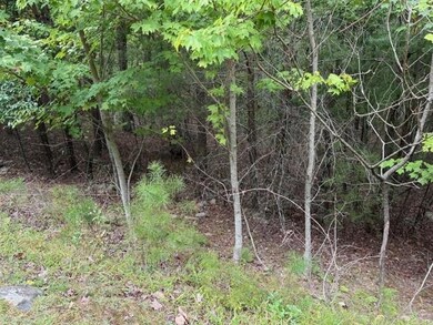 281 Vistaview Pkwy, Jasper, GA 30143 - photo 6