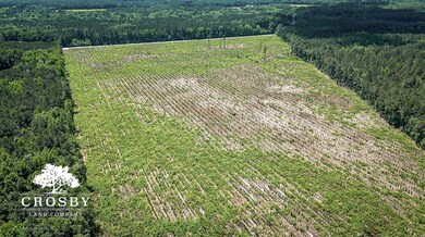 0 Spring Hill Rd, Red Springs, NC 28377 - photo 6