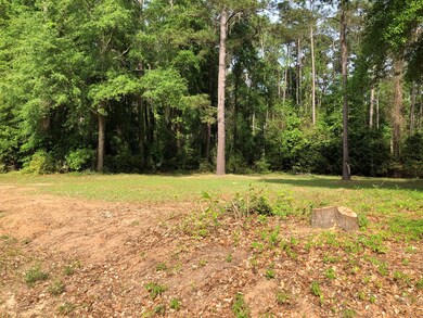 0 Cork Ferry Rd, Cordele, GA 31015 - photo 2