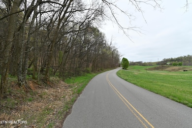 58.5 Acres Greenlee Rd, Rutledge, TN 37861 - photo 7