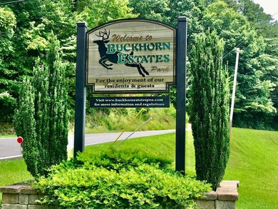 415 Chatawa Ct, Ellijay, GA 30540 - photo 3