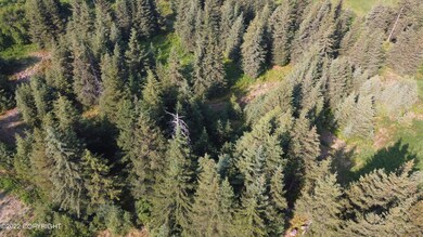 DJI_0802