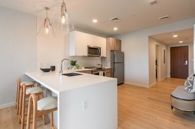 71 Bow St unit 501, Somerville, MA 02143 - photo 7