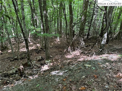 113 Arrowhead Rd, Beech Mountain, NC 28604 - photo 4