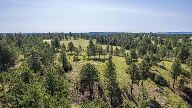 26771 Elk Run Rd, West Custer, SD 57747 - photo 7