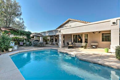 Great Backyard
