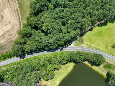 0 Silver Dollar Rd unit 10552561, Barnesville, GA 30204 - photo 2