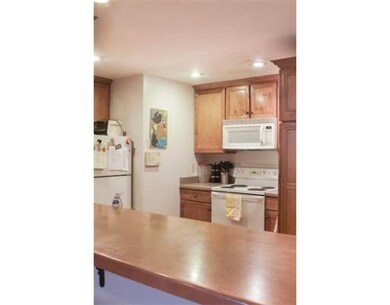 491 Mass Ave unit 1, Cambridge, MA 02139 - photo 5
