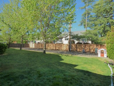 Backyard 1