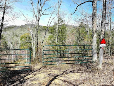 9205 Highway 9, Melbourne, AR 72556 - photo 2