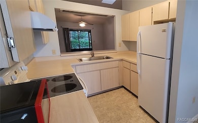 537 Crossleaf Ln, Inverness, FL 34453 - photo 6