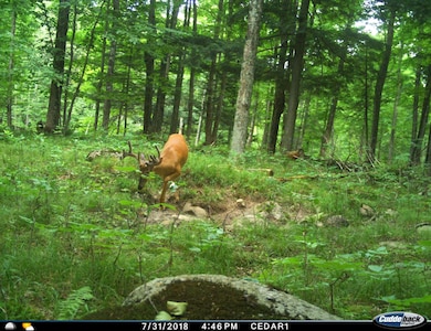 0 Beetle Creek Rd unit 22202013, Tigerton, WI 54486 - photo 3