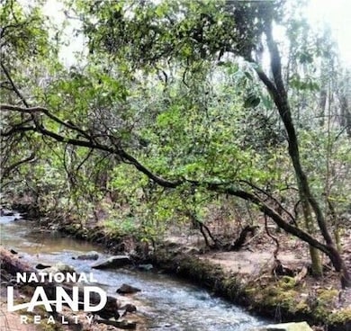 0 Lindsey Rd unit 25760188, Eclectic, AL 36024 - photo 3