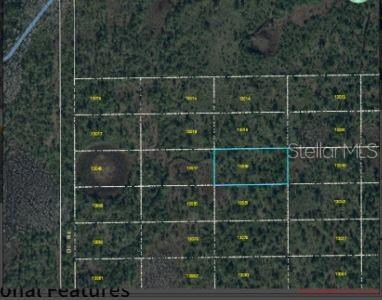 0 Dill Rd unit MFRO6247900, Orlando, FL 32820 - photo 3