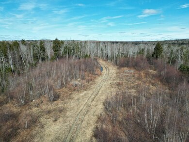DJI_0858