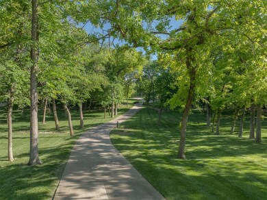 Driveway/Front Yard